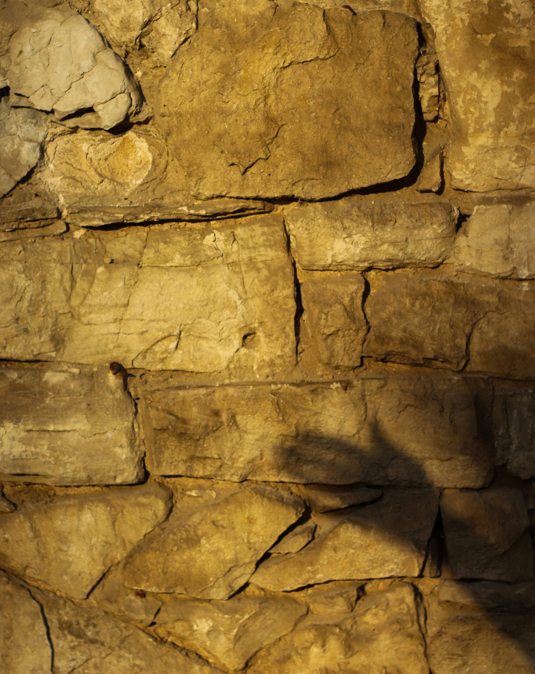 elena-ahle-Qs80cNTBw8A-unsplash